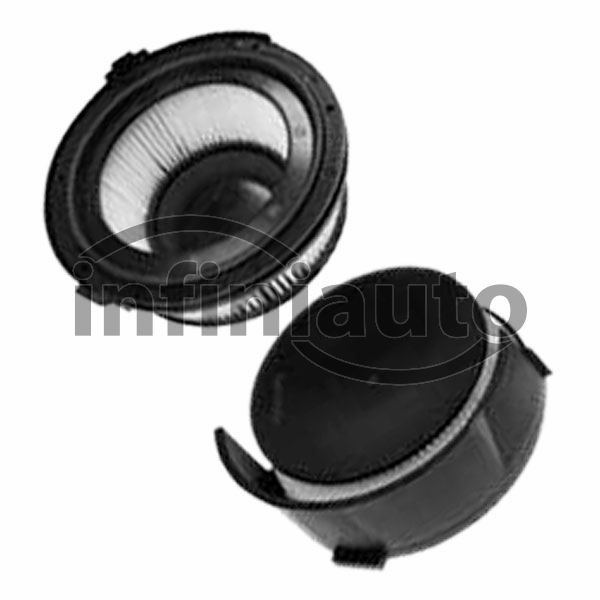 64119404386        FILTRO POLEN BMW E36 (EMBALAGEM 2 UN)                       